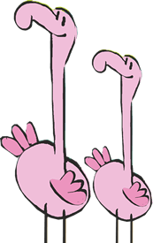 Flamingos Happy